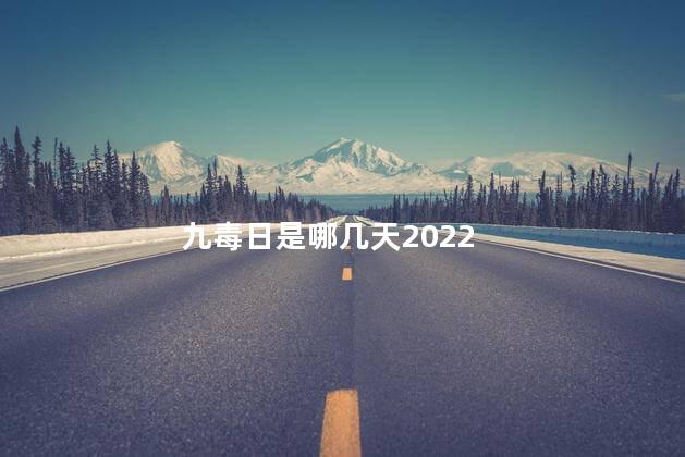 九毒日是哪几天2022