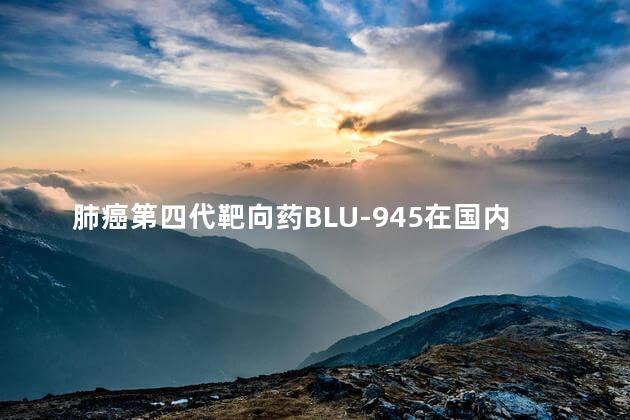 肺癌第四代靶向药BLU-945在国内如何才能购买到