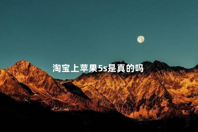 淘宝上苹果5s是真的吗