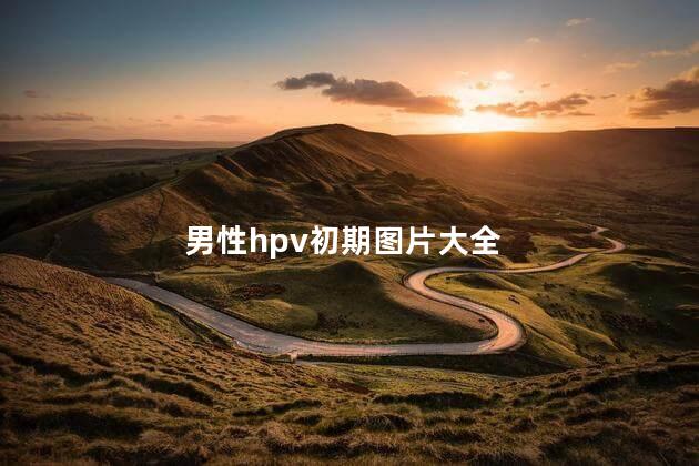 男性hpv初期图片大全