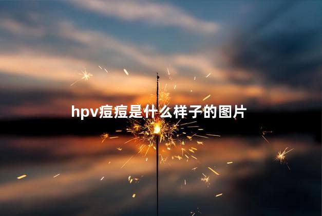 hpv痘痘是什么样子的图片