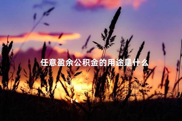 任意盈余公积金的用途是什么