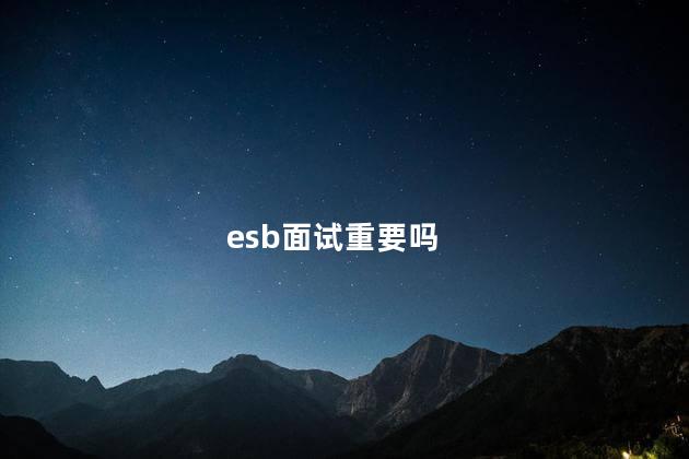 esb面试重要吗