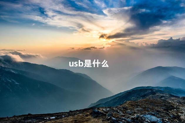 usb是什么