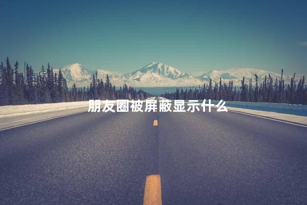 朋友圈被屏蔽显示什么