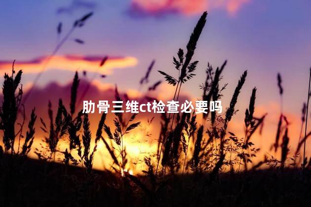 肋骨三维ct检查必要吗