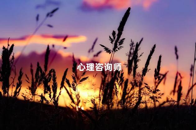 心理咨询师