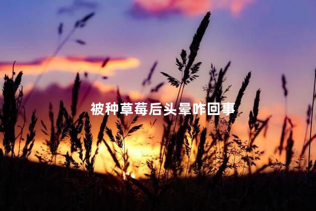 被种草莓后头晕咋回事