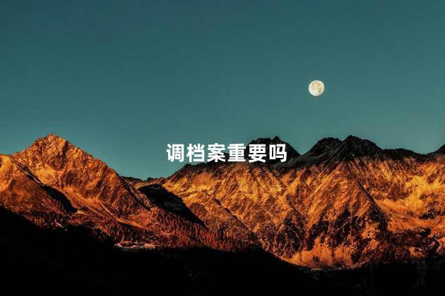 调档案重要吗