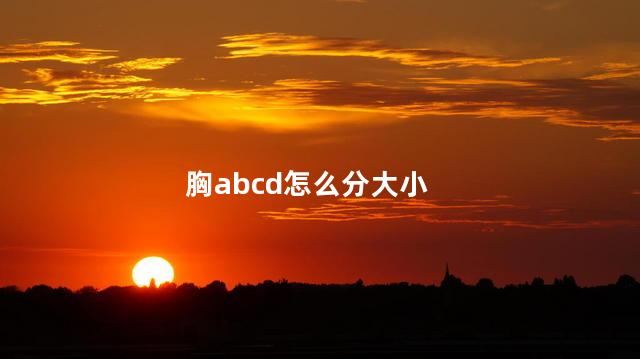 胸abcd怎么分大小