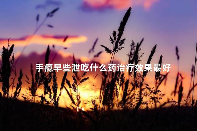 手瘾早些泄吃什么药治疗效果最好