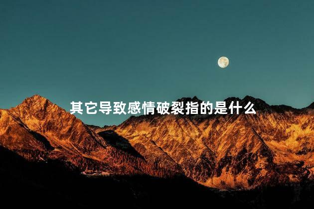 其它导致感情破裂指的是什么