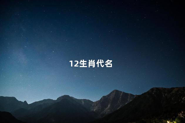 12生肖代名