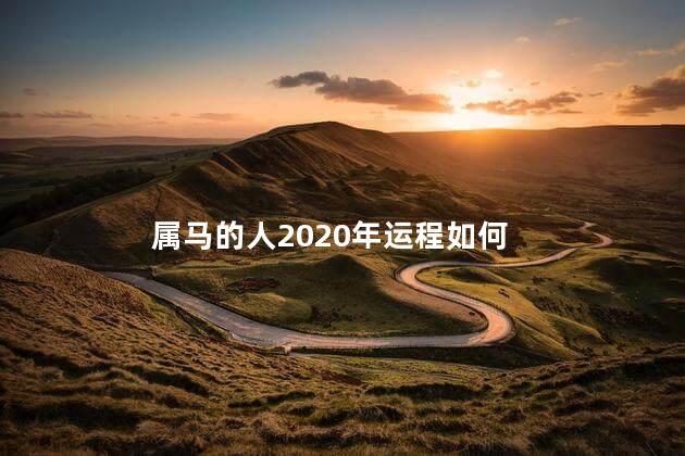 属马的人2020年运程如何