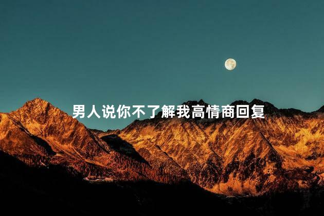 男人说你不了解我高情商回复