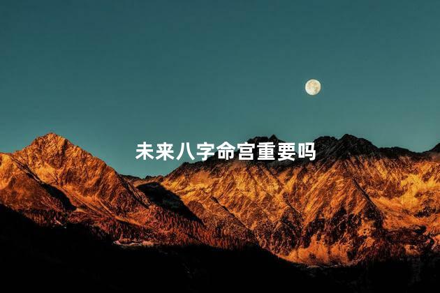 未来八字命宫重要吗