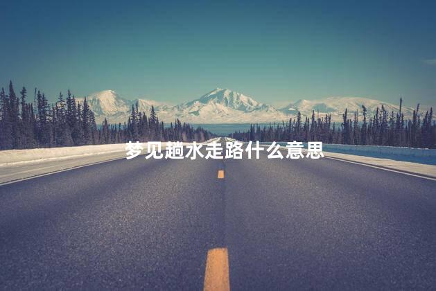 梦见趟水走路什么意思