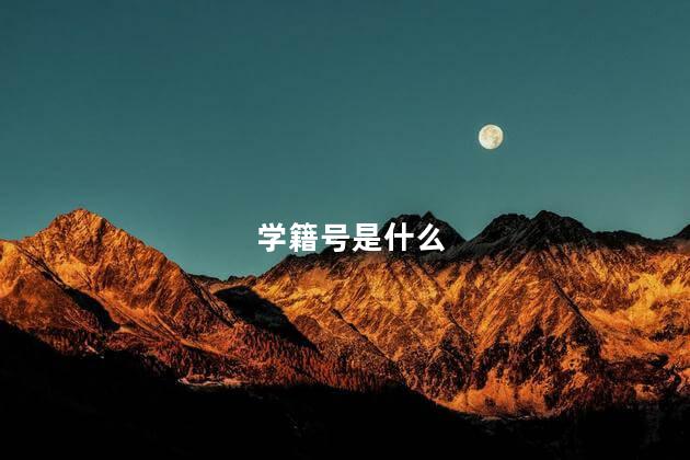 学籍号是什么