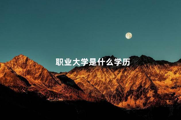 职业大学是什么学历