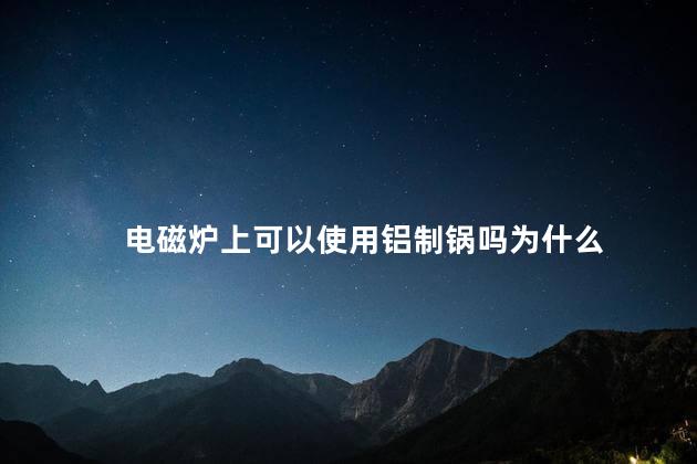 电磁炉上可以使用铝制锅吗为什么