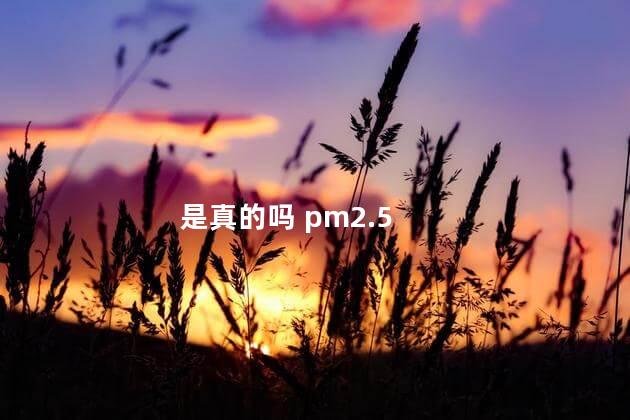 是真的吗 pm2.5