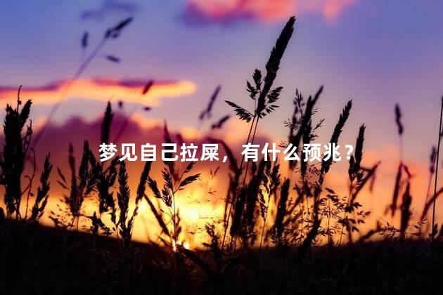 梦见自己拉屎，有什么预兆？