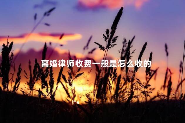 离婚律师收费一般是怎么收的