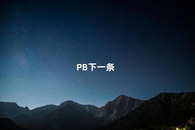 PB下一条