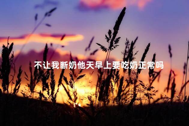 不让我断奶他天早上要吃奶正常吗