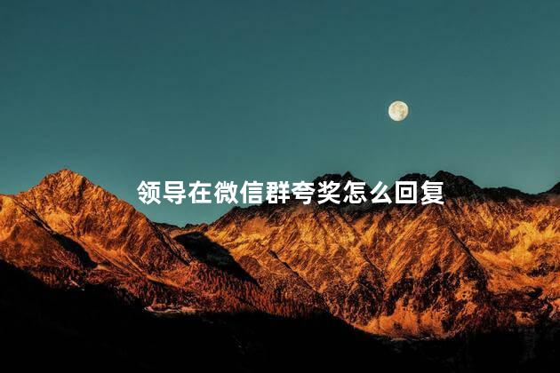 领导在微信群夸奖怎么回复