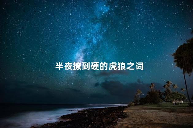 半夜撩到硬的虎狼之词