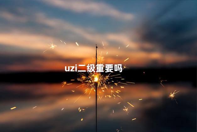 uzi二级重要吗