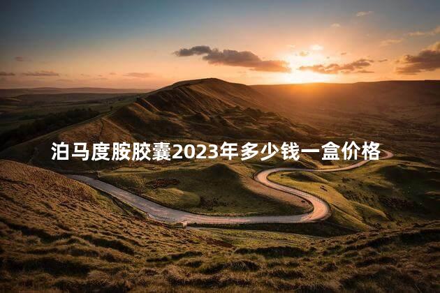 泊马度胺胶囊2023年多少钱一盒价格折合人民币