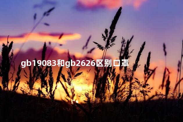 gb19083和gb2626区别口罩