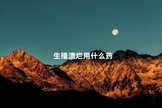 生殖溃烂用什么药