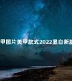 指甲图片美甲款式2022显白新款