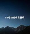 SS号的奶嘴需要吗 新安怡奶嘴2号几个月用