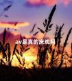 av是真的床戏吗