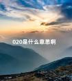 020是什么意思啊 什么是020