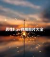 男性hpv初期图片大全