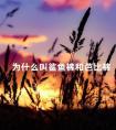 为什么叫鲨鱼裤和芭比裤