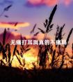 无痛打耳洞真的不痛吗 打耳洞会改变命理吗