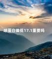 球蛋白偏低17.1重要吗 γ球蛋白