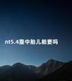 nt5.4腹中胎儿能要吗 nt能排除什么哪些畸形