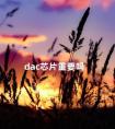 dac芯片重要吗 目前最好的dac芯片