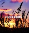 ic行业英语重要吗