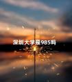 深圳大学是985吗 600分可以上深圳大学吗