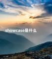 showcase是什么 showcase的中文意思