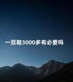 一双鞋3000多有必要吗 花2000买双鞋有必要吗