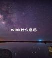 wink什么意思 wink汉语